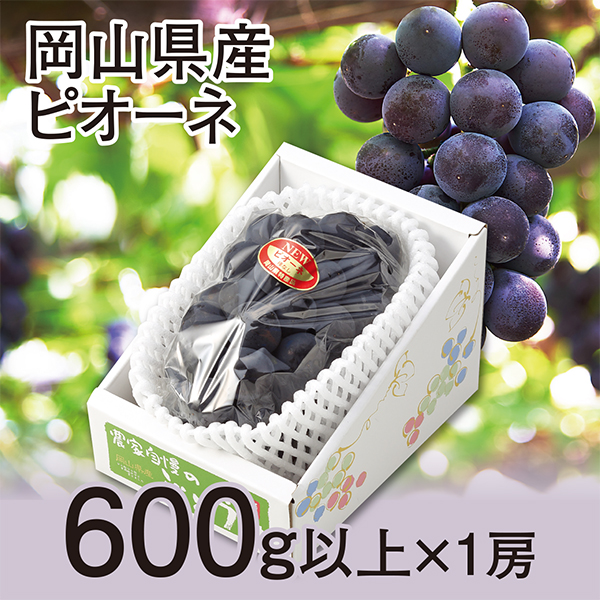 ［岡山県産］　ピオーネ　600ｇ以上×1房【417556】 商品サムネイル