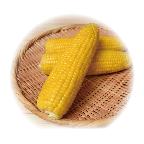 [岡山県（蒜山高原）産] 蒜山産直スイートコーン 【426262】【夏ギフト★】 商品サムネイル