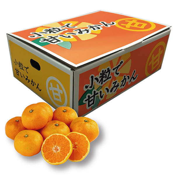 [広島県産]小粒で甘いみかん S、2Sサイズ 4kg以上【429384】【冬ギフト★】 商品サムネイル