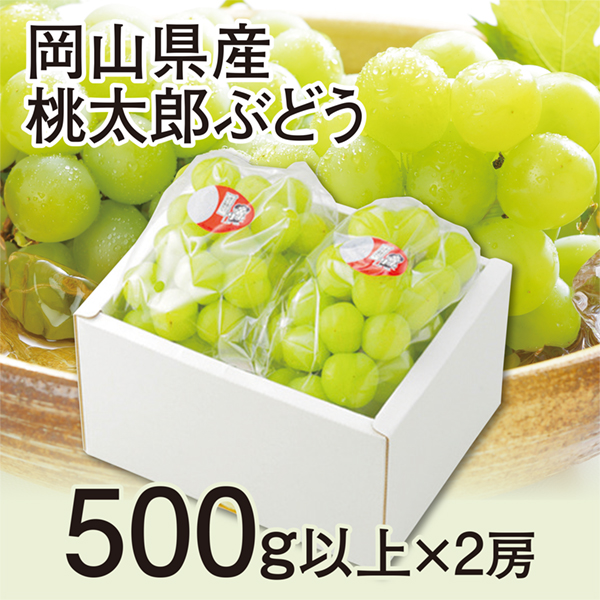 ［岡山県産］　桃太郎ぶどう　500ｇ以上×2房【417626】 商品サムネイル