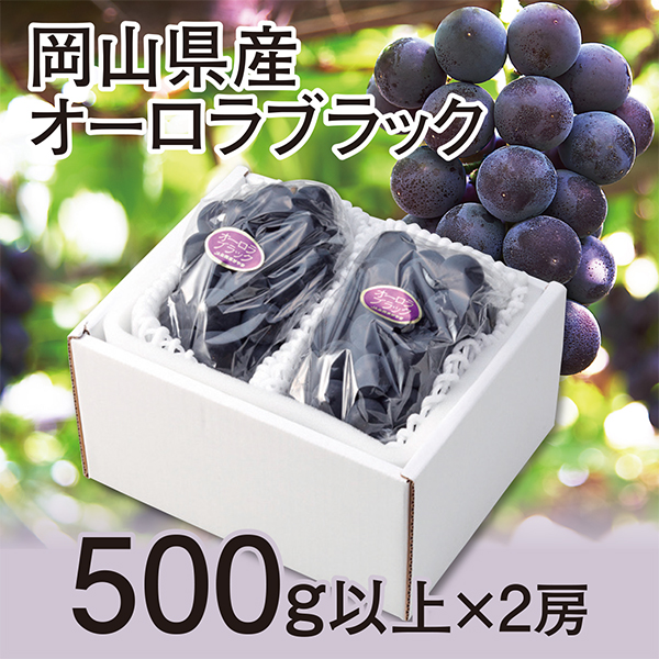 ［岡山県産］　オーロラブラック　500ｇ以上×2房【417592】 商品サムネイル