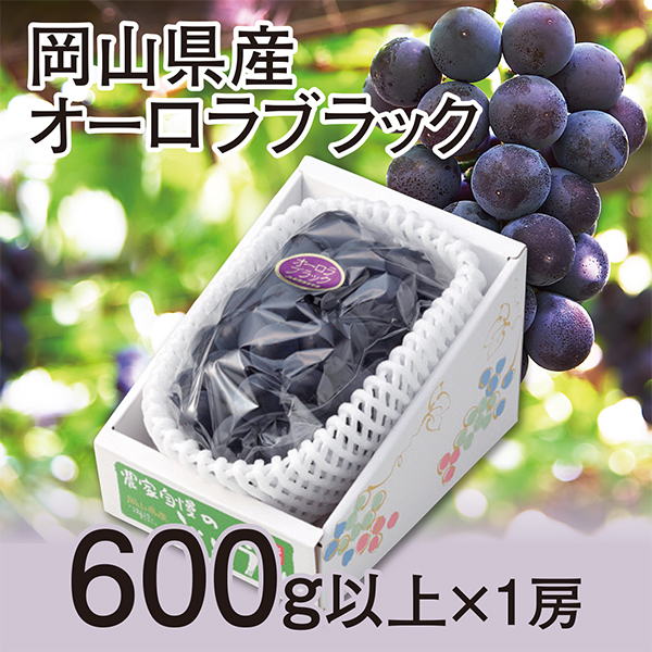 ［岡山県産］　オーロラブラック　600ｇ以上×1房【417583】 商品サムネイル