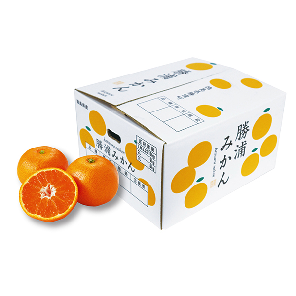 [徳島県勝浦郡勝浦町]勝浦みかん Mサイズ 9.5kg以上【429898】【冬ギフト★】 商品サムネイル