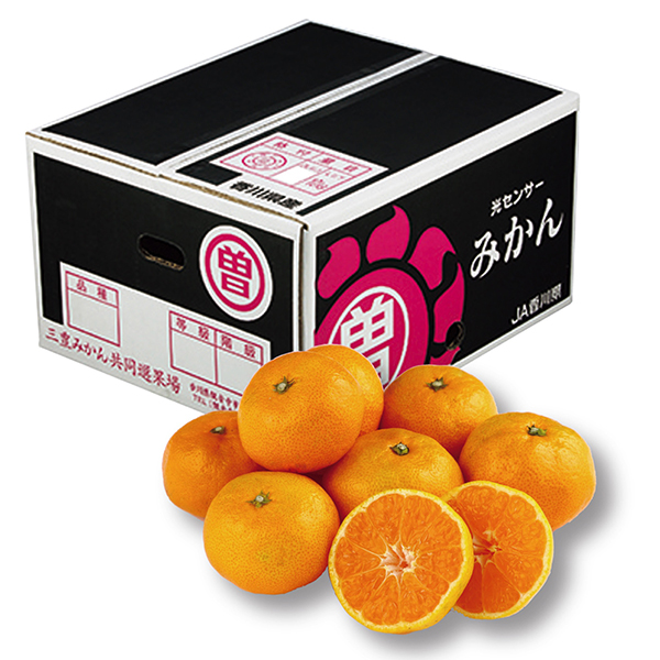 [香川県産]三豊(マルソ)みかん(黒箱) 5kg以上 S・Ｍ・Lサイズ 【429445】【冬ギフト★】 商品サムネイル