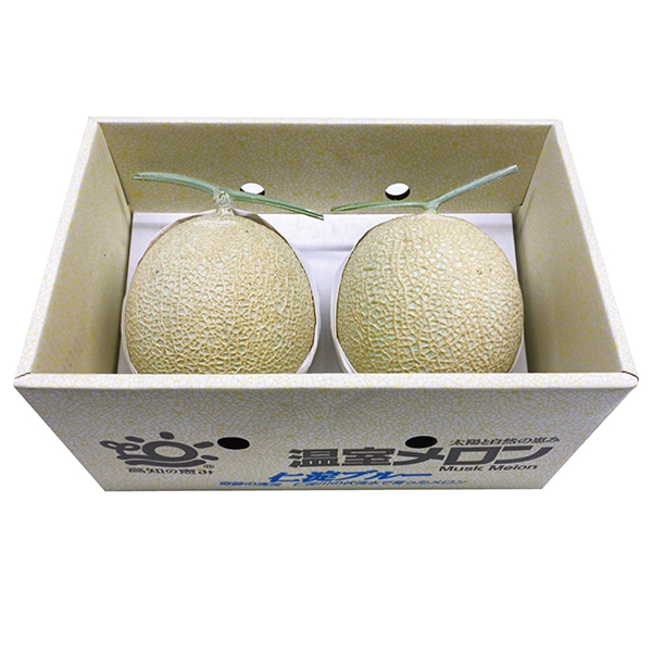 [高知県産]仁淀ブルーアールスメロン(青肉赤肉セット) 2玉入り1箱【429834】【冬ギフト★】 商品サムネイル