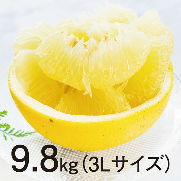 [高知県産]　マル研土佐文旦９．８ｋｇ○３Ｌ　【425537】 商品サムネイル