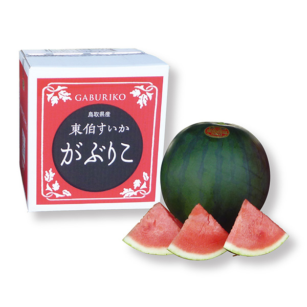 [鳥取県産] がぶりこすいか  1箱(1玉入)【426040】【夏ギフト★】 商品サムネイル