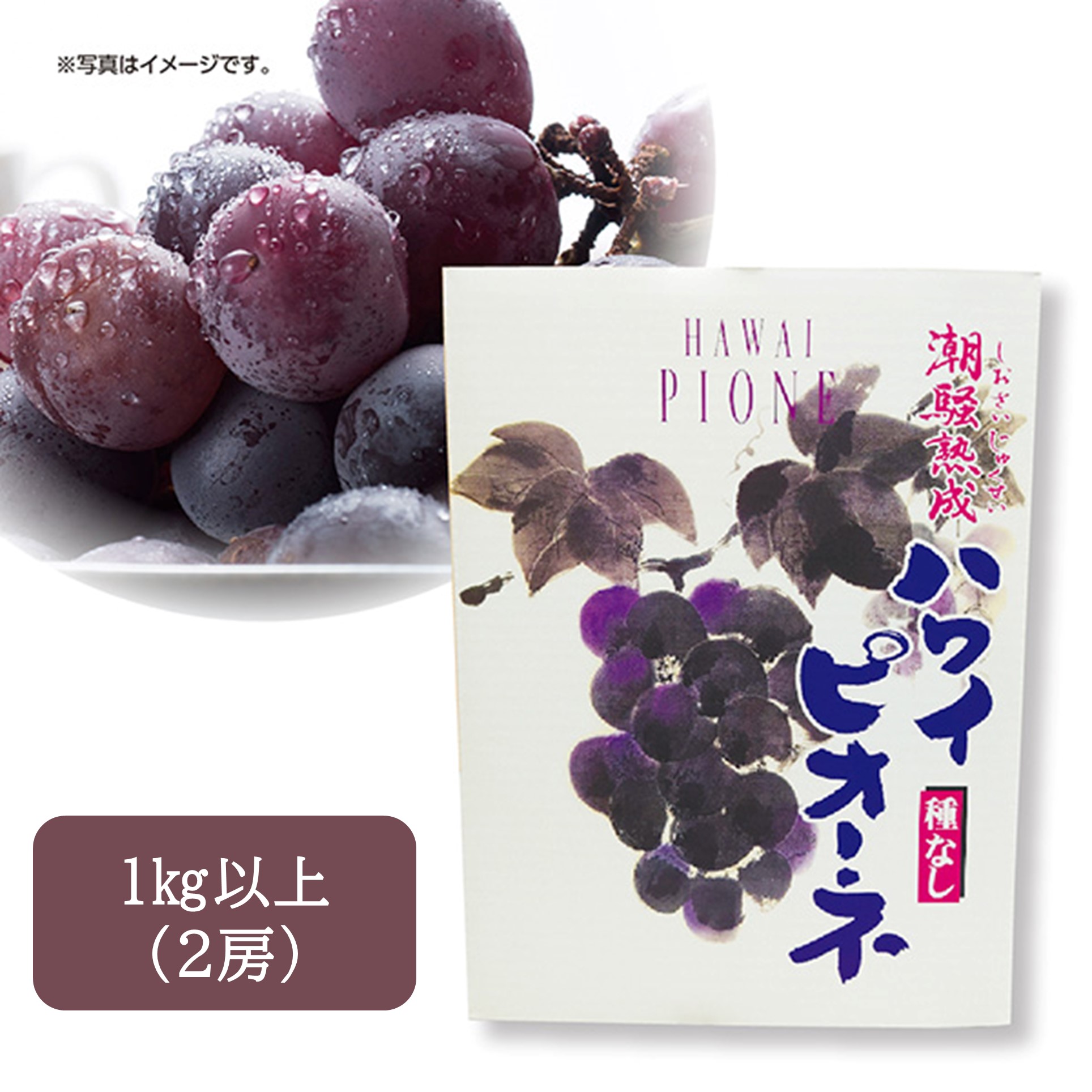 [鳥取県産] ハワイ種なしピオーネ 1箱 1㎏以上（2房）【425971】【夏ギフト★】 商品サムネイル