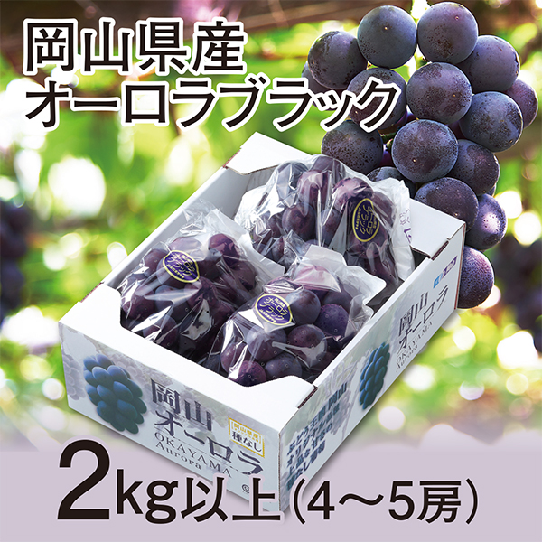 ［岡山県産］　オーロラブラック　2kg以上（4房～5房）【417574】 商品サムネイル