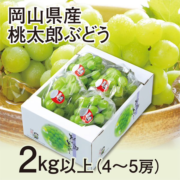 ［岡山県産］　桃太郎ぶどう　2kg以上（4房～5房）【417608】 商品サムネイル