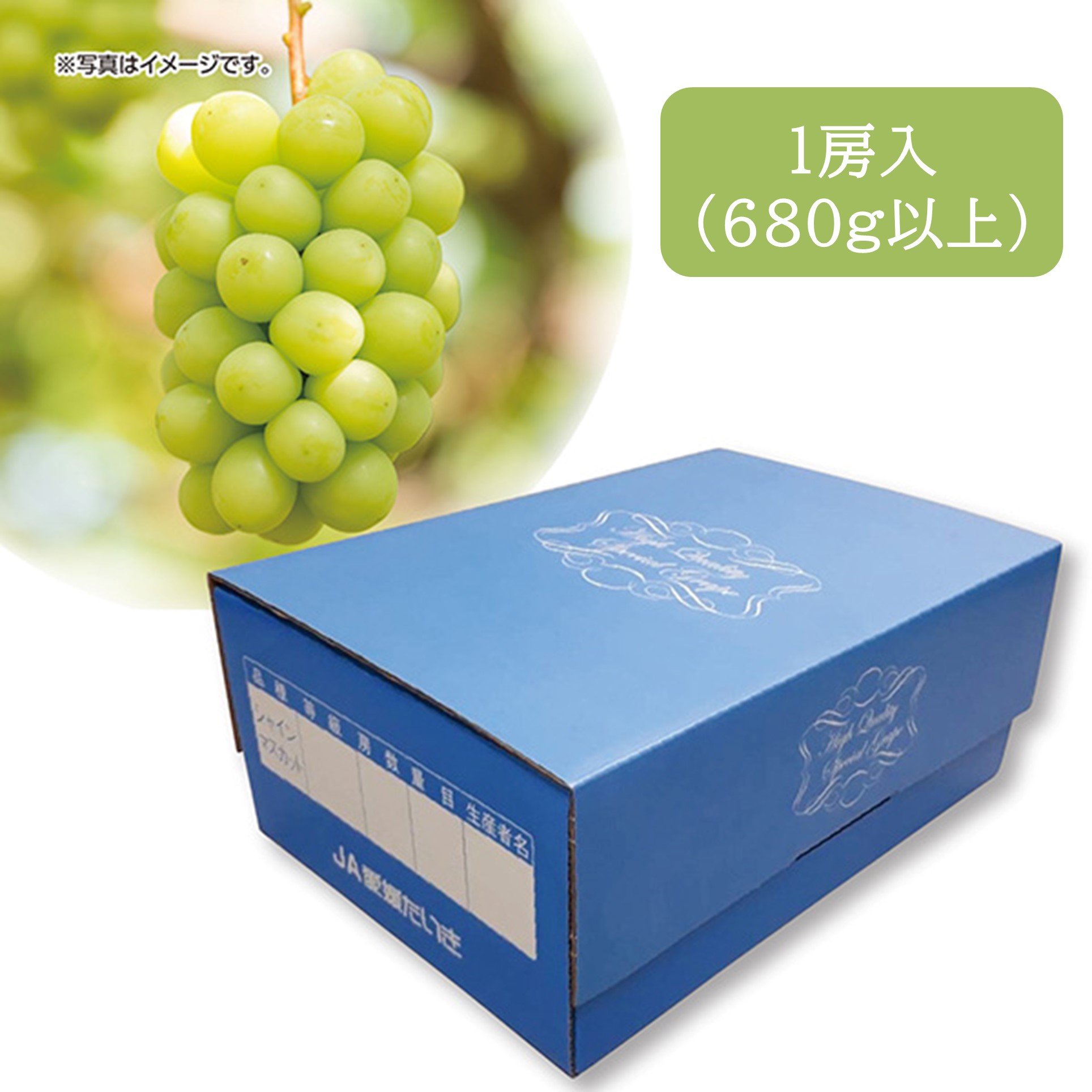[愛媛県産(JA愛媛たいき)] シャインマスカット 1房箱 (680g以上)【426271】【夏ギフト★】 商品サムネイル