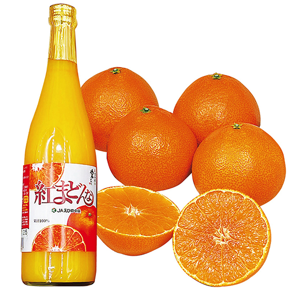 [愛媛県産]紅まどんなジュース・紅まどんな4玉【428525】【冬ギフト★】 商品サムネイル
