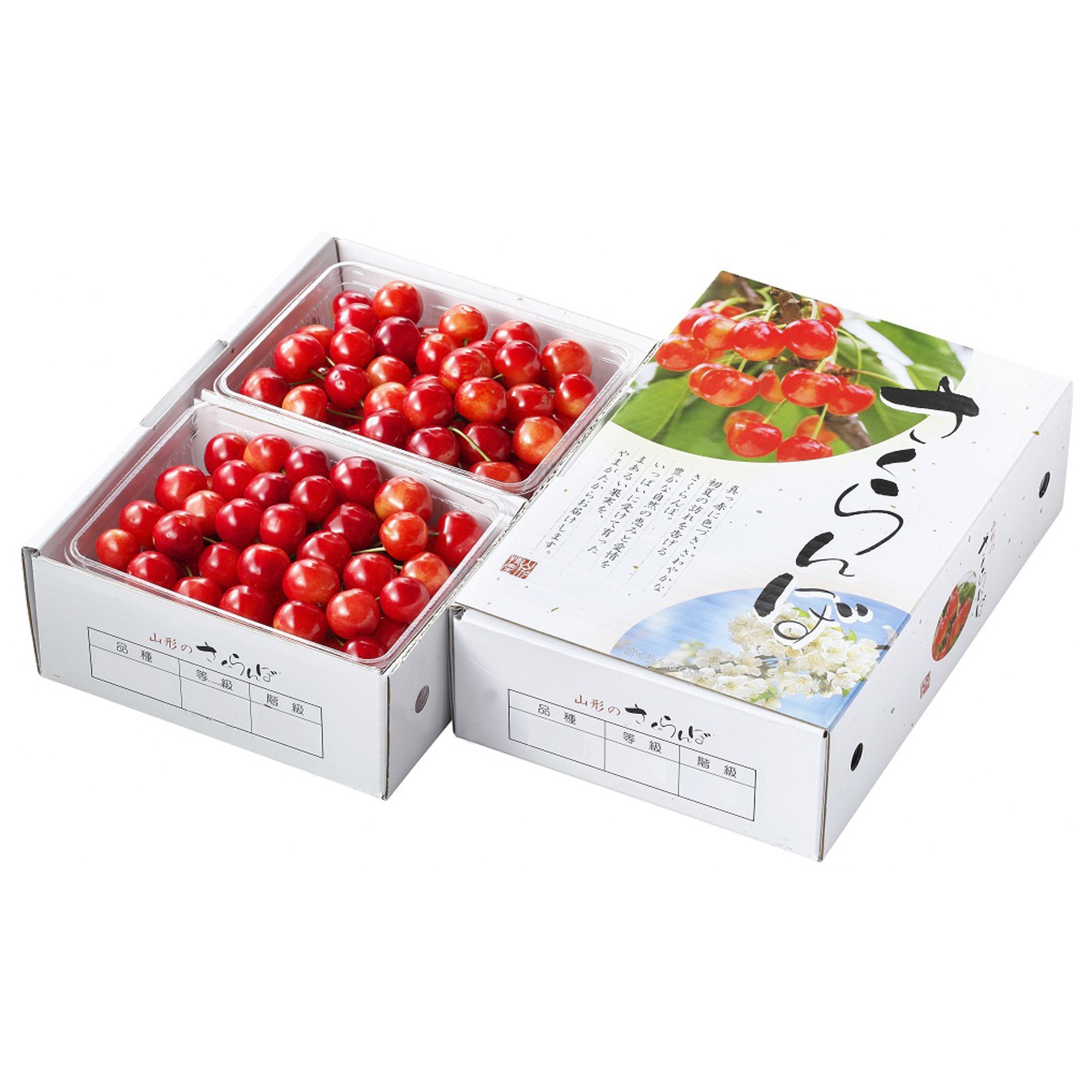 [山形県産] 佐藤錦 バラ詰め 1kg(500g×2) 秀L以上 【426484】【夏ギフト★】 商品サムネイル