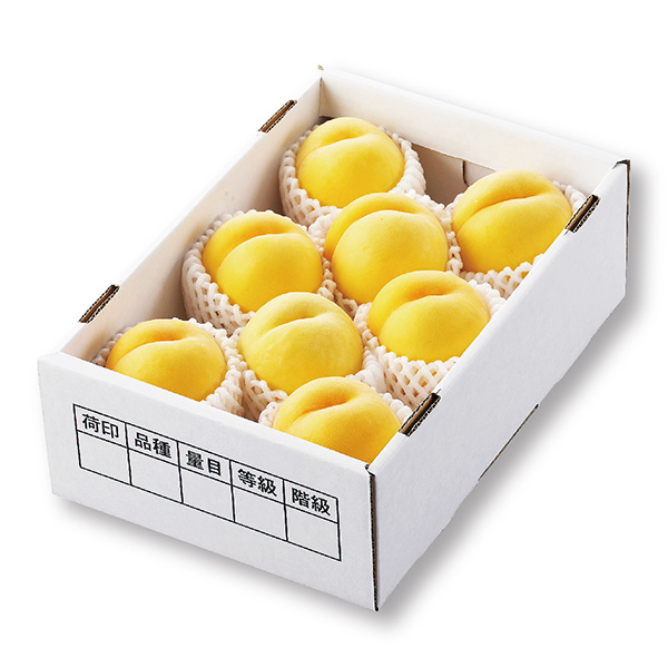 [山形県産] 黄桃 秀 3kg以上 (8～12玉)【426527】【夏ギフト★】 商品サムネイル