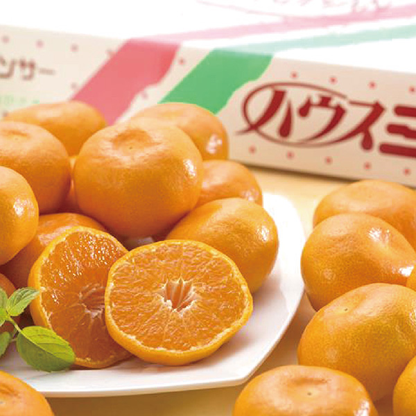 [長崎県産] ハウスみかん 1.5kg以上 (17～22玉) 【426615】【夏ギフト★】 商品サムネイル