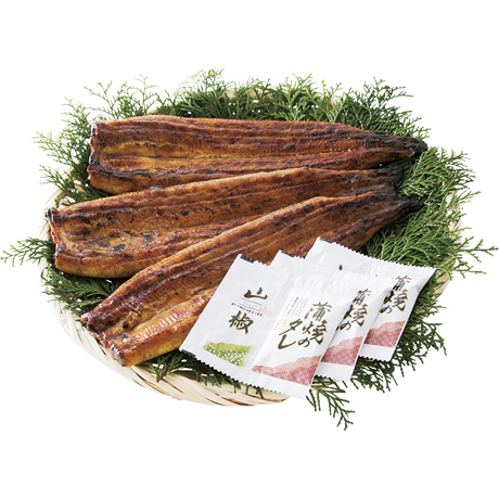 [鹿児島県産] うなぎ蒲焼（じっくり焼き）3尾 【426785】【夏ギフト★】 商品サムネイル