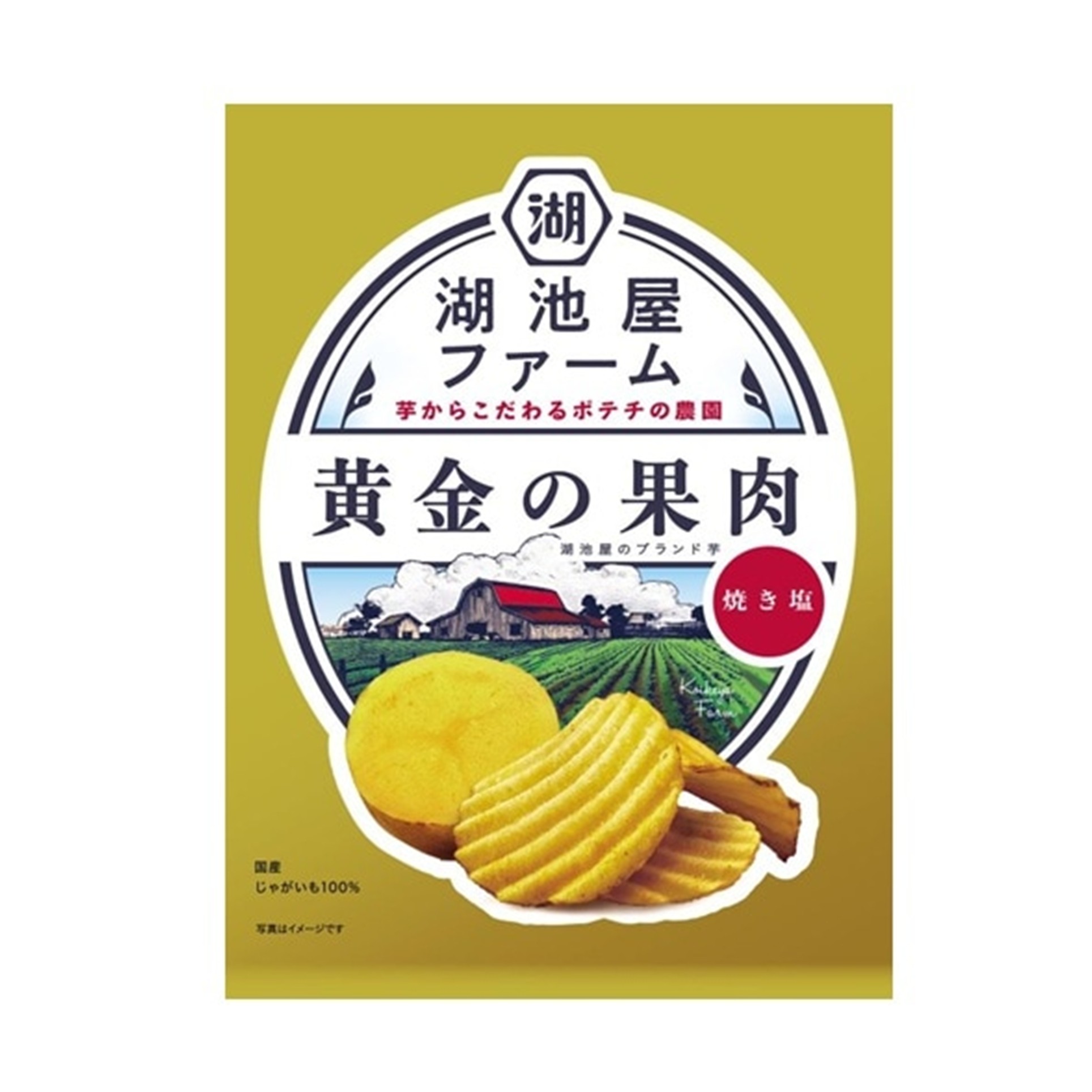 湖池屋ファーム黄金の果肉塩 55g(×12)|mvm-4514410174948-001-12 商品サムネイル