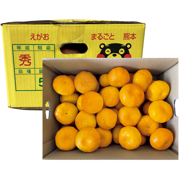 熊本県産 福嶌 豪さんのマル嶌みかん 【162753】【冬☆】 商品サムネイル