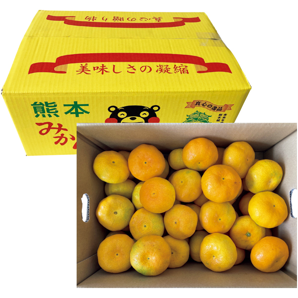 熊本県産 福嶌 豪さんのマル嶌みかん 【162762】【冬☆】 商品サムネイル