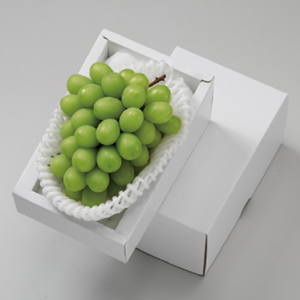 【父の日】岡山県産 マスカット・オブ・アレキサンドリア【486714】 商品サムネイル