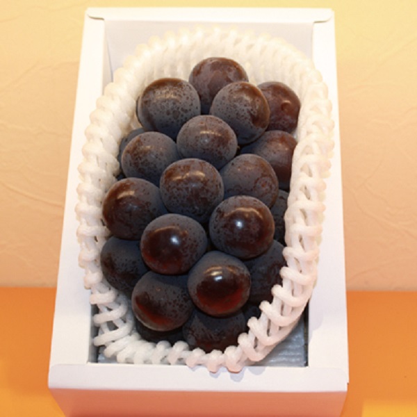 【父の日】岡山県産 種なしピオーネ【486705】 商品サムネイル