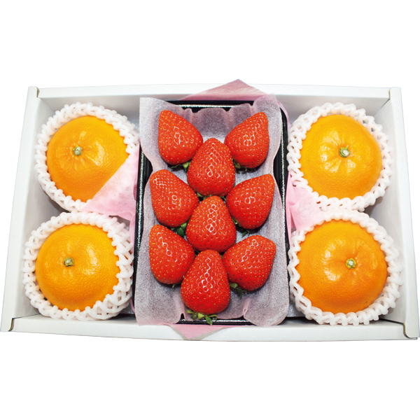 ◇佐賀県又は長崎・愛媛県産 いちご・紅まどんな 【152604】 商品サムネイル