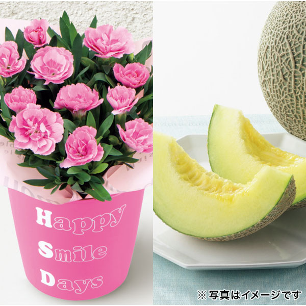 【母の日】 カーネーション＆メロン「肥後グリーン」のセット【480349】 商品サムネイル