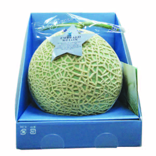 ★[高知県産JA高知県]夜須エメラルドメロン【429977】 商品サムネイル