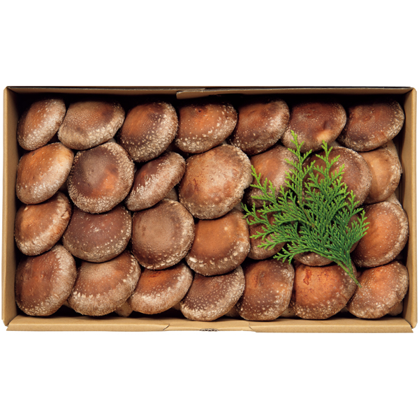 群馬県産（妙義ナバファーム）オーガニック生しいたけ（菌床栽培）ギフト 大【冬】【080024】 商品サムネイル