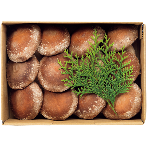 群馬県産（妙義ナバファーム）オーガニック生しいたけ（菌床栽培）ギフト【冬】【080015】 商品サムネイル