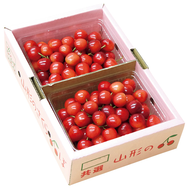 ◇[山形県産（JAさくらんぼ東根）]さくらんぼ佐藤錦【148638】 商品サムネイル