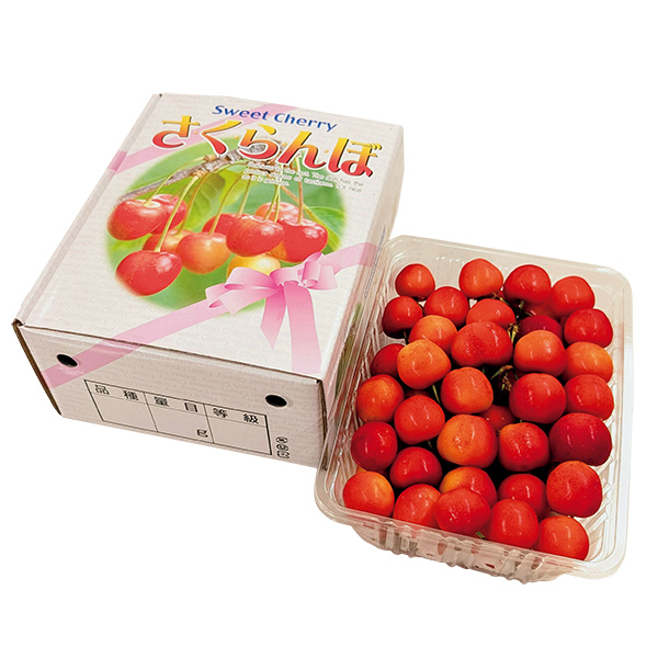 ◇[北海道産]さくらんぼ【148629】 商品サムネイル