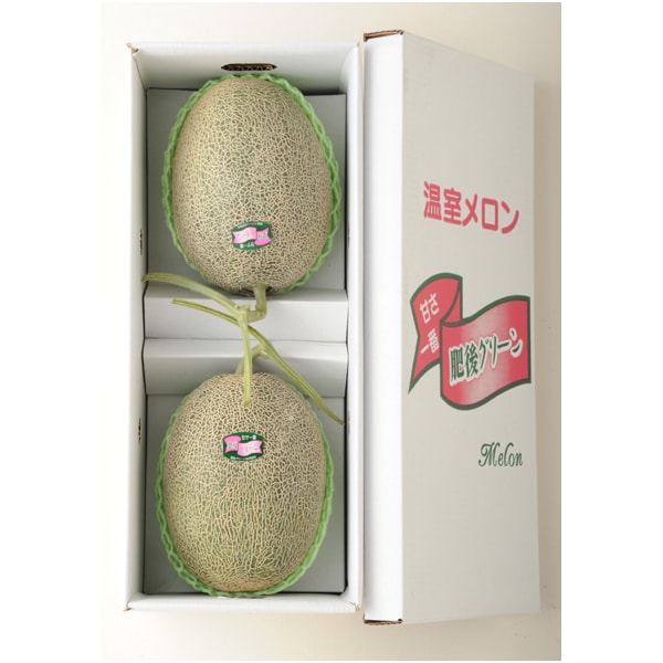 【母の日】熊本県産 肥後グリーンメロン【483568】 商品サムネイル