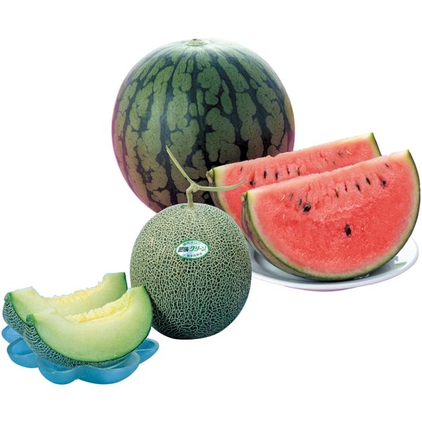 【母の日】熊本県産 肥後グリーンメロン＆小玉すいか【483559】 商品サムネイル