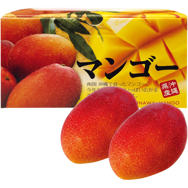 沖縄県産　アップルマンゴー【021049】【夏ギフト】 商品サムネイル