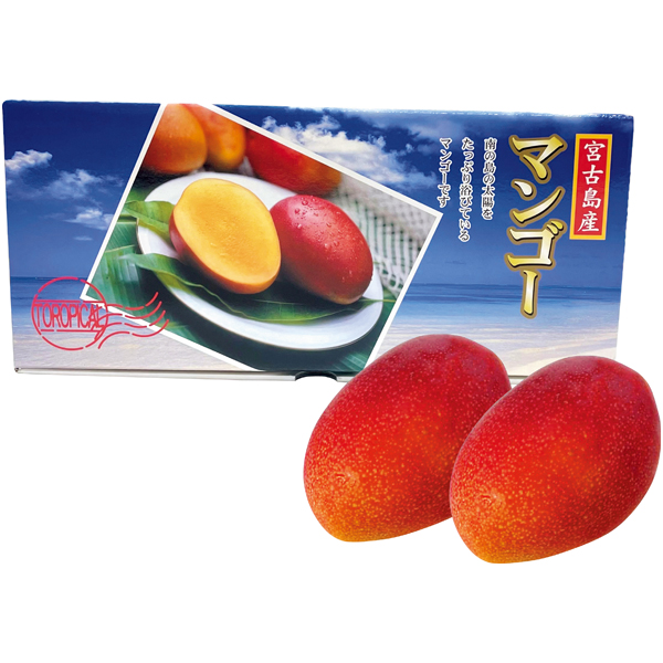 沖縄県産（宮古島）　アップルマンゴー【021021】【夏ギフト】 商品サムネイル