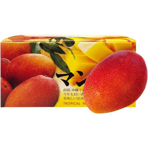 沖縄県産　アップルマンゴー【021030】【夏ギフト】 商品サムネイル