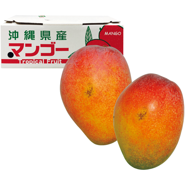 沖縄県産　わけありアップルマンゴー（自宅用）【176084】【夏ギフト】 商品サムネイル