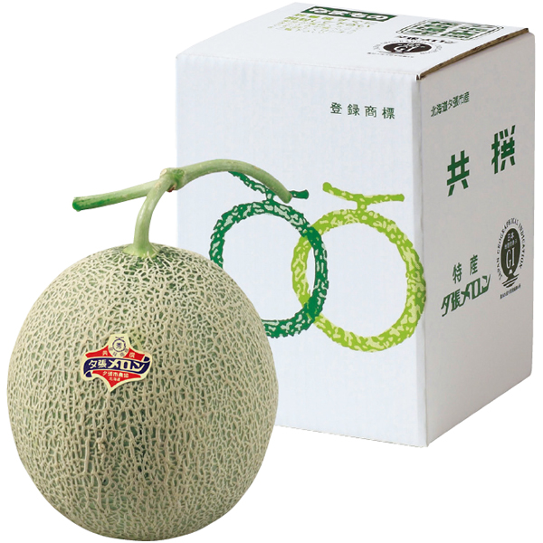 【父の日】北海道産（JA夕張市） 夕張メロン 秀品2L1玉【486547】 商品サムネイル