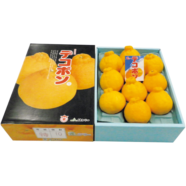 佐賀県産（唐津農業協同組合） デコポン 【162878】【冬☆】 商品サムネイル