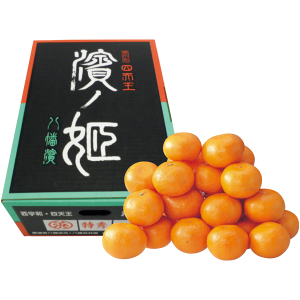 愛媛県産（JA西宇和八幡浜共選） 濱ノ姫（はまのひめ）みかん【冬】【014076】 商品サムネイル