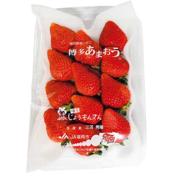 ☆福岡県産 博多あまおう苺ギフト箱入り 【034131】 商品画像(1)