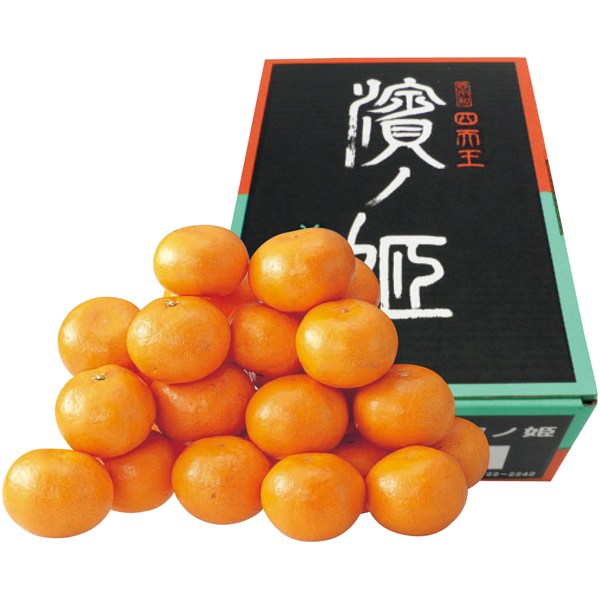 愛媛県産（JA西宇和）八幡浜共選 濱ノ姫（はまのひめ）みかん 4.9kg 【162708】【冬☆】 商品サムネイル