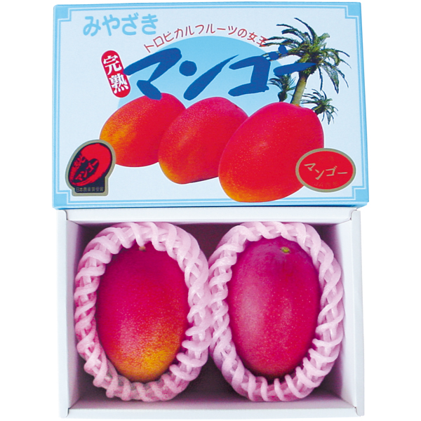 【母の日】宮崎県産（JA西都） 宮崎マンゴー2個化粧箱【484071】 商品サムネイル