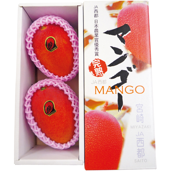 【母の日】宮崎県産（JA西都） 宮崎プレミアムマンゴー2個化粧箱【484062】 商品サムネイル