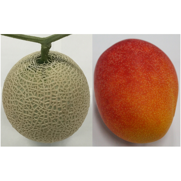 【母の日】熊本県産・宮崎県産 アールスメロン・宮崎マンゴー 各1個【484053】 商品サムネイル