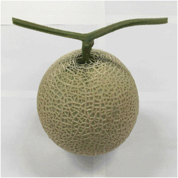 【母の日】熊本県産・宮崎県産 アールスメロン・宮崎マンゴー 各1個【484053】 商品画像(1)