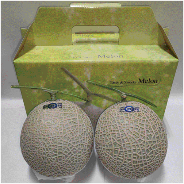 【母の日】高知県産 アールスメロン 2個【484044】 商品サムネイル