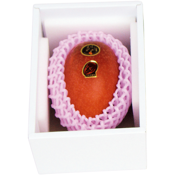 【父の日】宮崎県産（JA西都） 太陽のタマゴ1個化粧箱【486893】 商品サムネイル