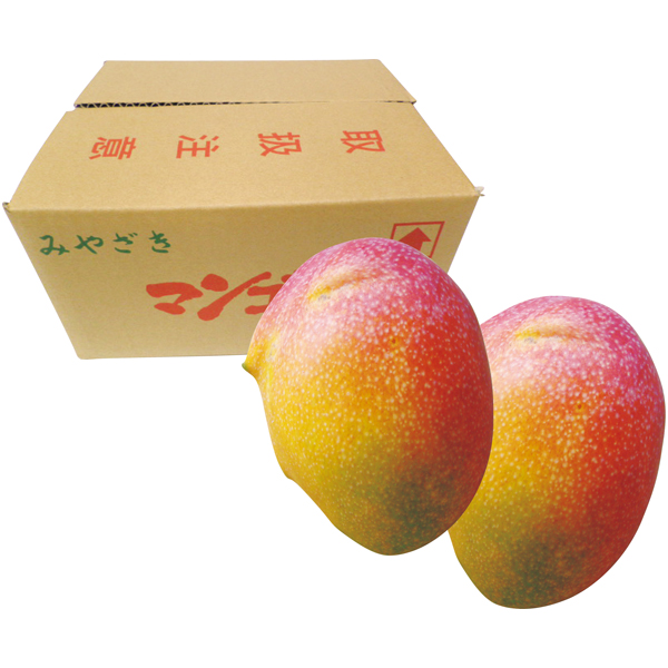 宮崎県産（JA西都）　わけありマンゴー（自宅用）【176075】【夏ギフト】 商品サムネイル